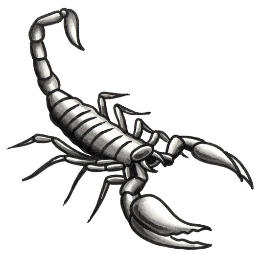 The Scorpion Temporary Tattoo - 3" x 3”