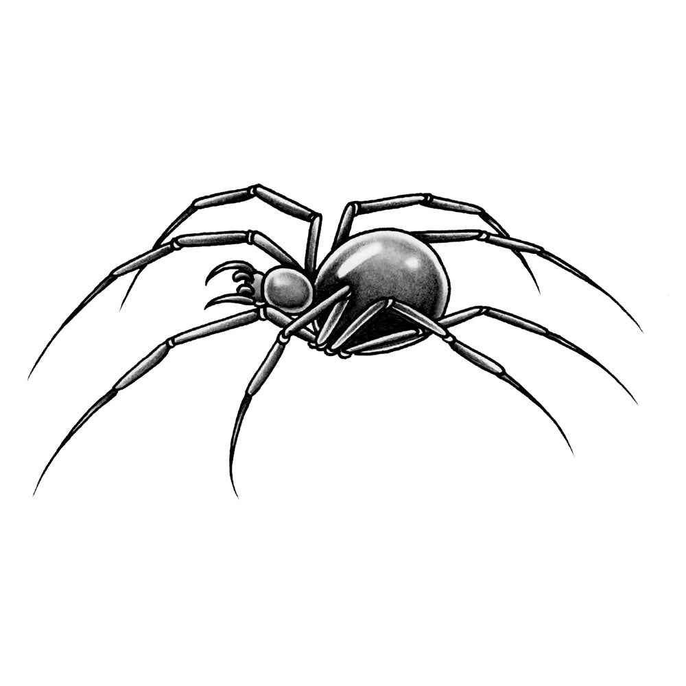 Spider Temporary Tattoo - 2” x 4”