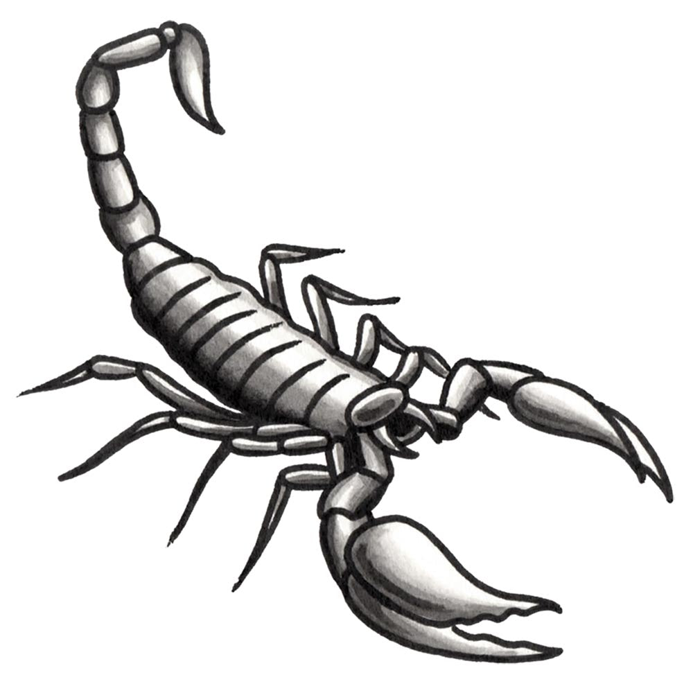 The Scorpion Temporary Tattoo - 3